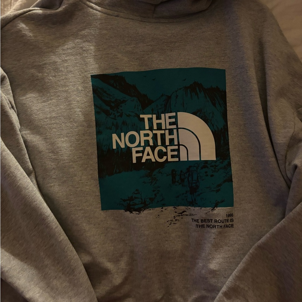 The North Face Gray Crop with side pockets hoodie